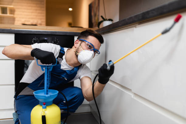 Hanley Hills, MO Pest Control Company