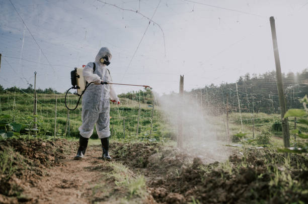 Best Ant Control Services  in Hanley Hills, MO