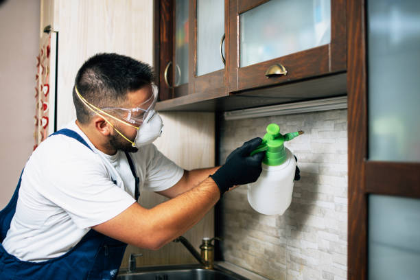 Best Emergency Pest Control  in Hanley Hills, MO