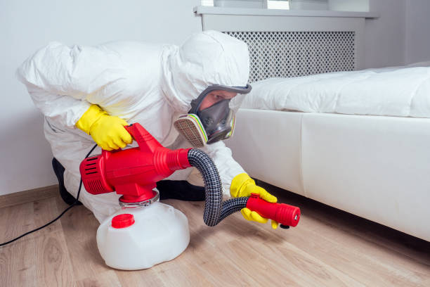 Best Mosquito Control Services  in Hanley Hills, MO