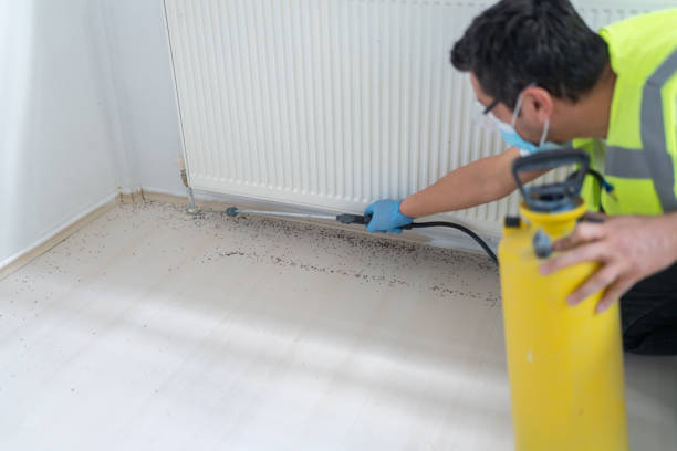 Best Best Pest Control Companies  in Hanley Hills, MO