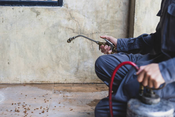 Best Exterminator Services  in Hanley Hills, MO